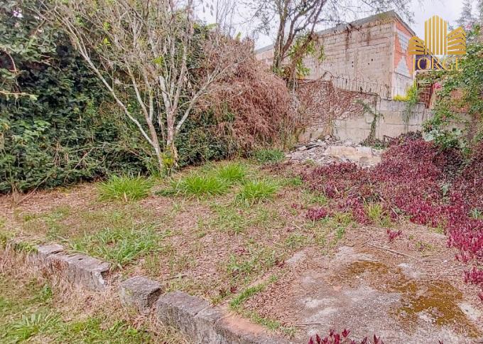 Chácara, 3 quartos, 1000 m² - Foto 3