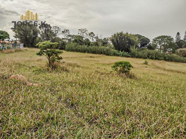 Sítio à venda, 72600m² - Foto 19