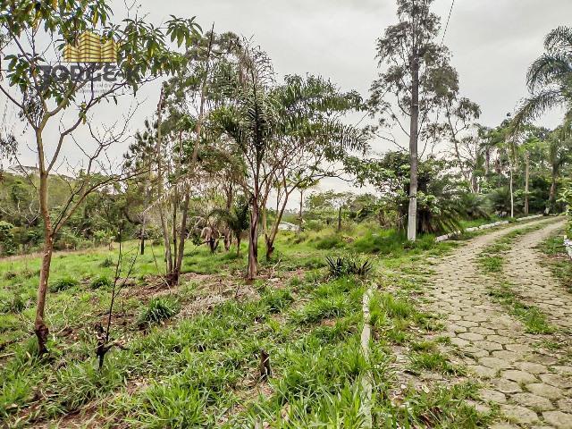Sítio à venda, 72600m² - Foto 17